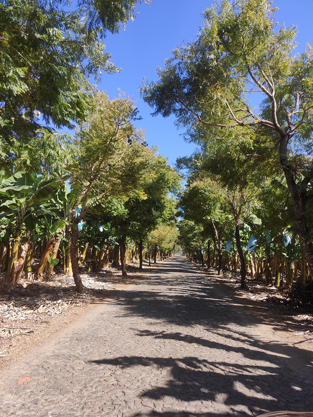Rancho aos pés da Serra da Canastra, Cássia MG